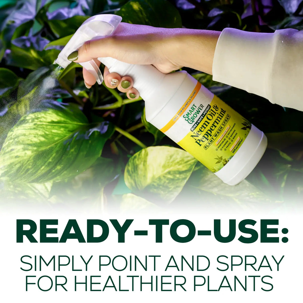 Neem Oil Plant Spray 16 Oz